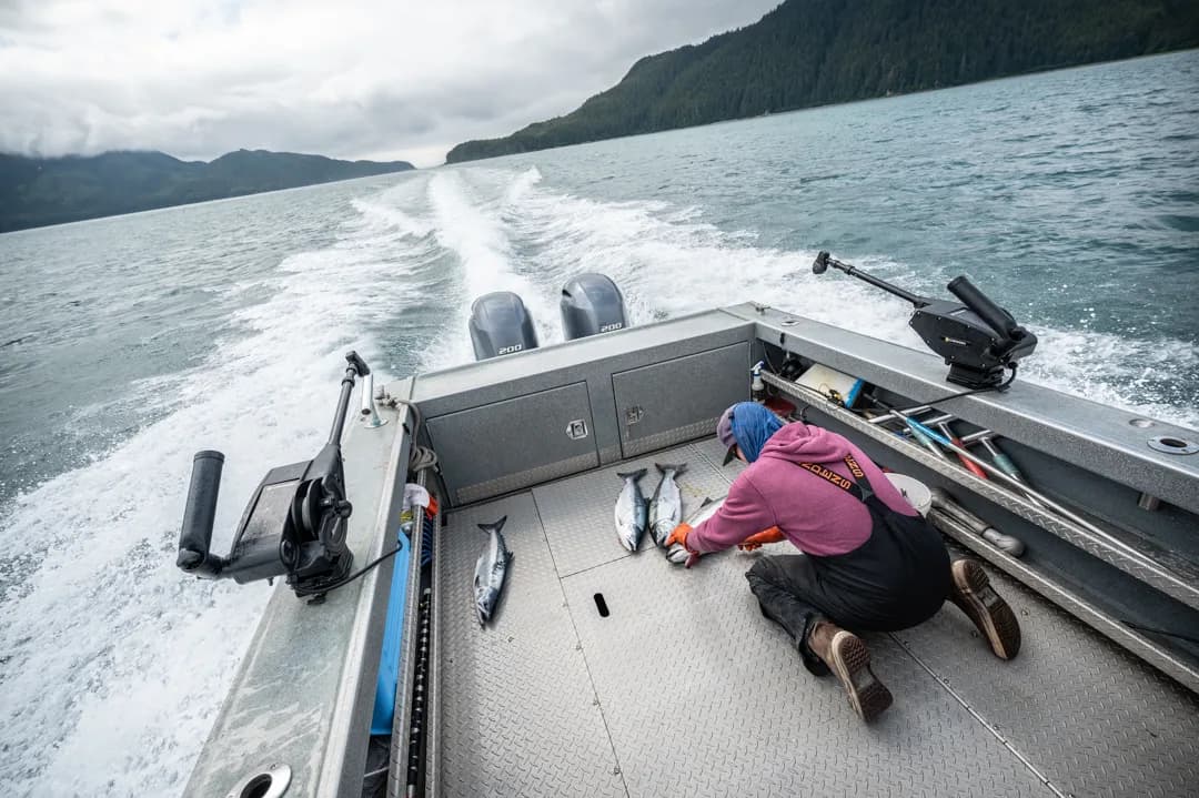 Angler kneeling on aluminum boat deck tending to several fresh salmon, twin outboards and forested mountains in the wake.