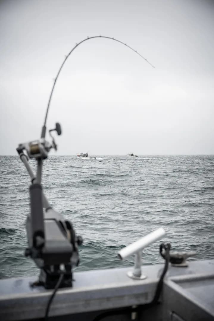 Rod bent under load in rod holder on boat stern, two charter vessels working open water on overcast day.