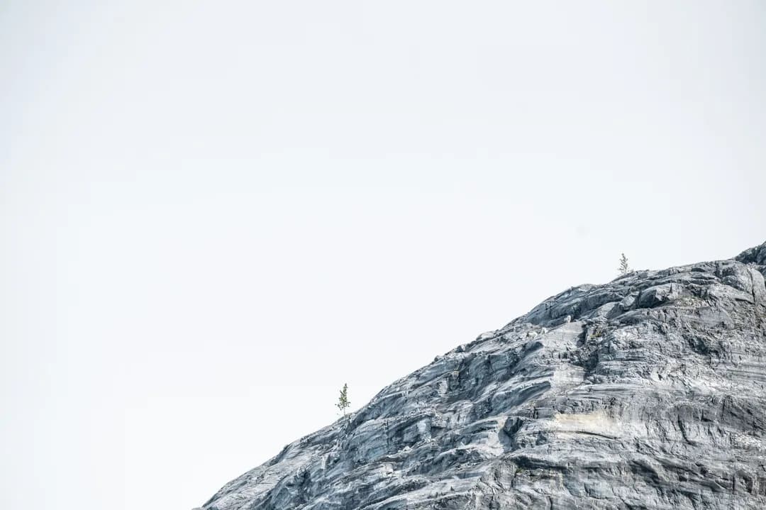 Two small conifers clinging to a bare granite ridge against a flat white sky, southeast Alaska.