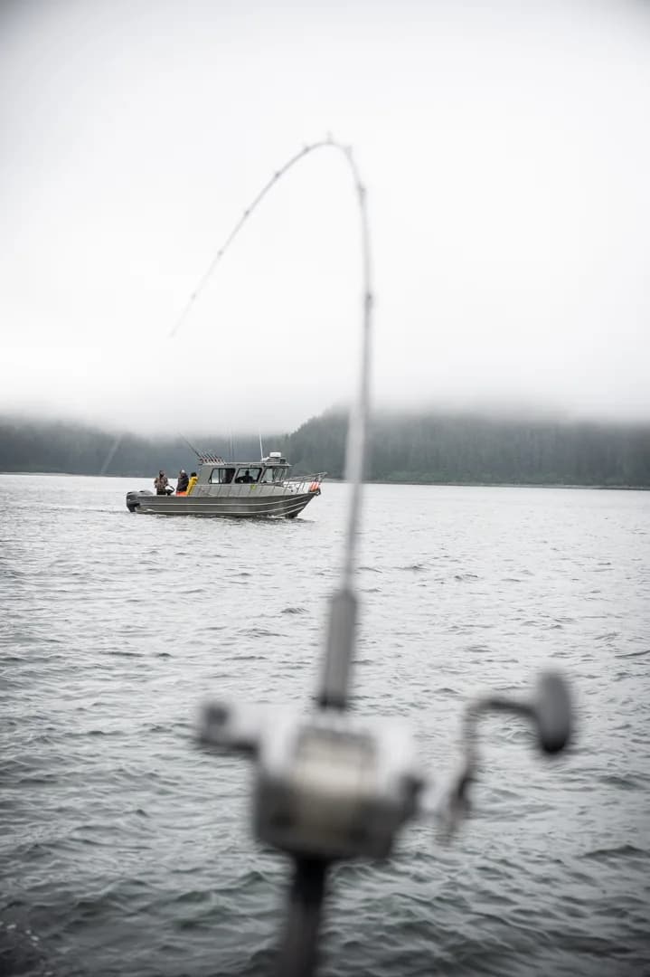 Fishing rod in foreground frames an aluminum charter boat underway on calm gray water, misty forested hills behind.