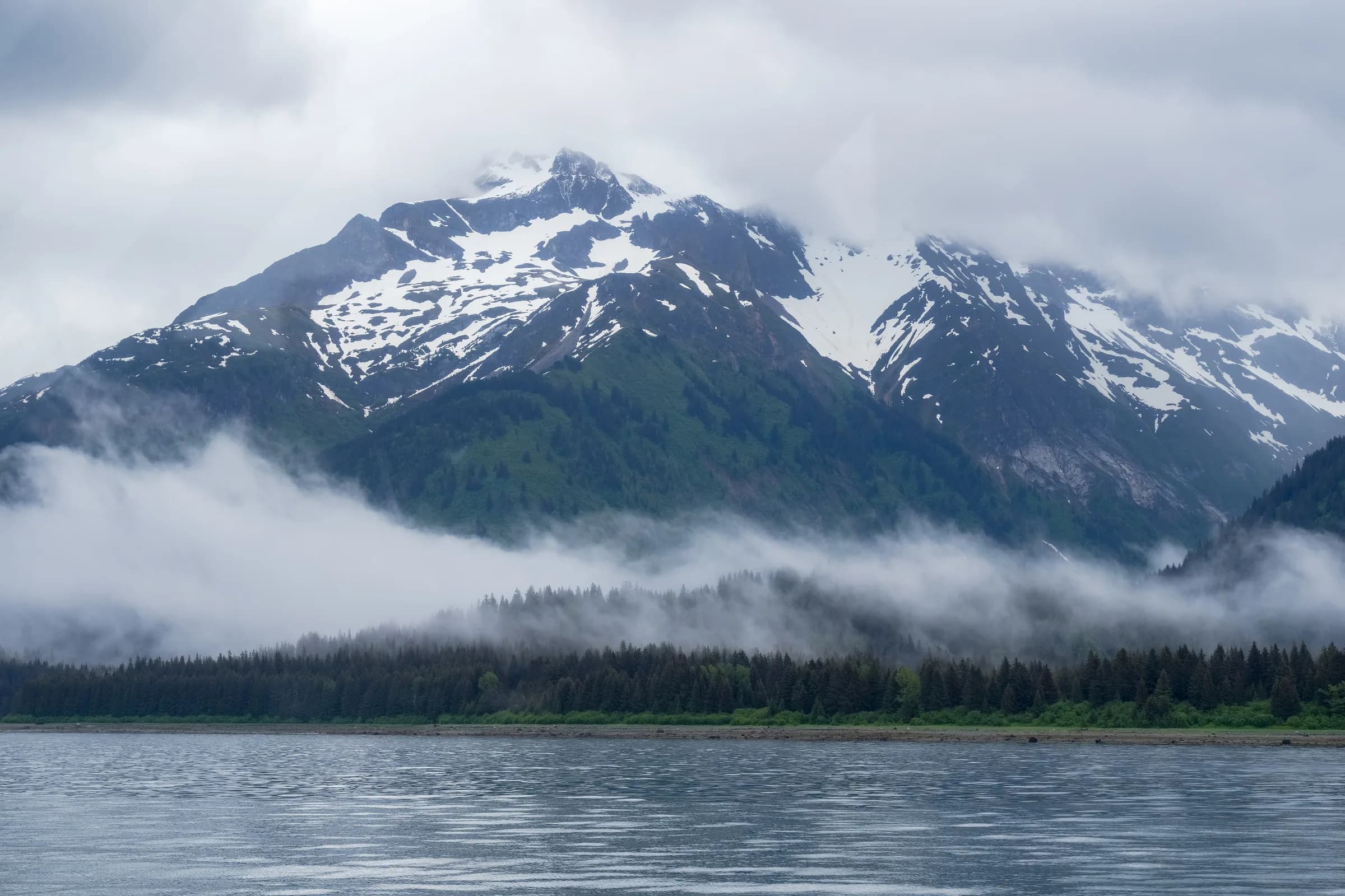 Snow-capped peak rising above a fog-wrapped spruce shoreline, viewed across calm gray water near Gustavus.