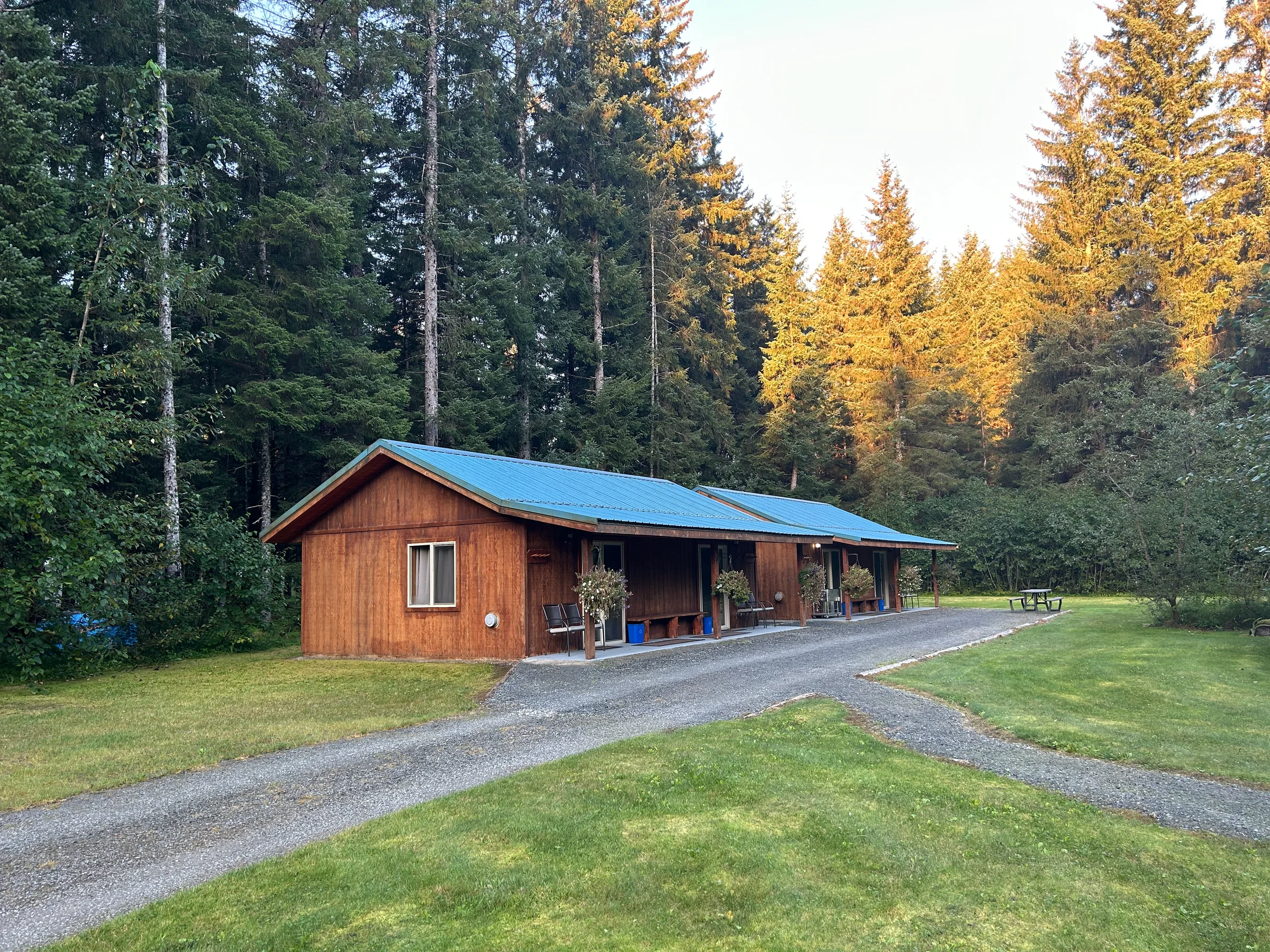 Wood-sided lodge building with blue metal roof, covered porch, and gravel drive set against spruce forest in evening light.