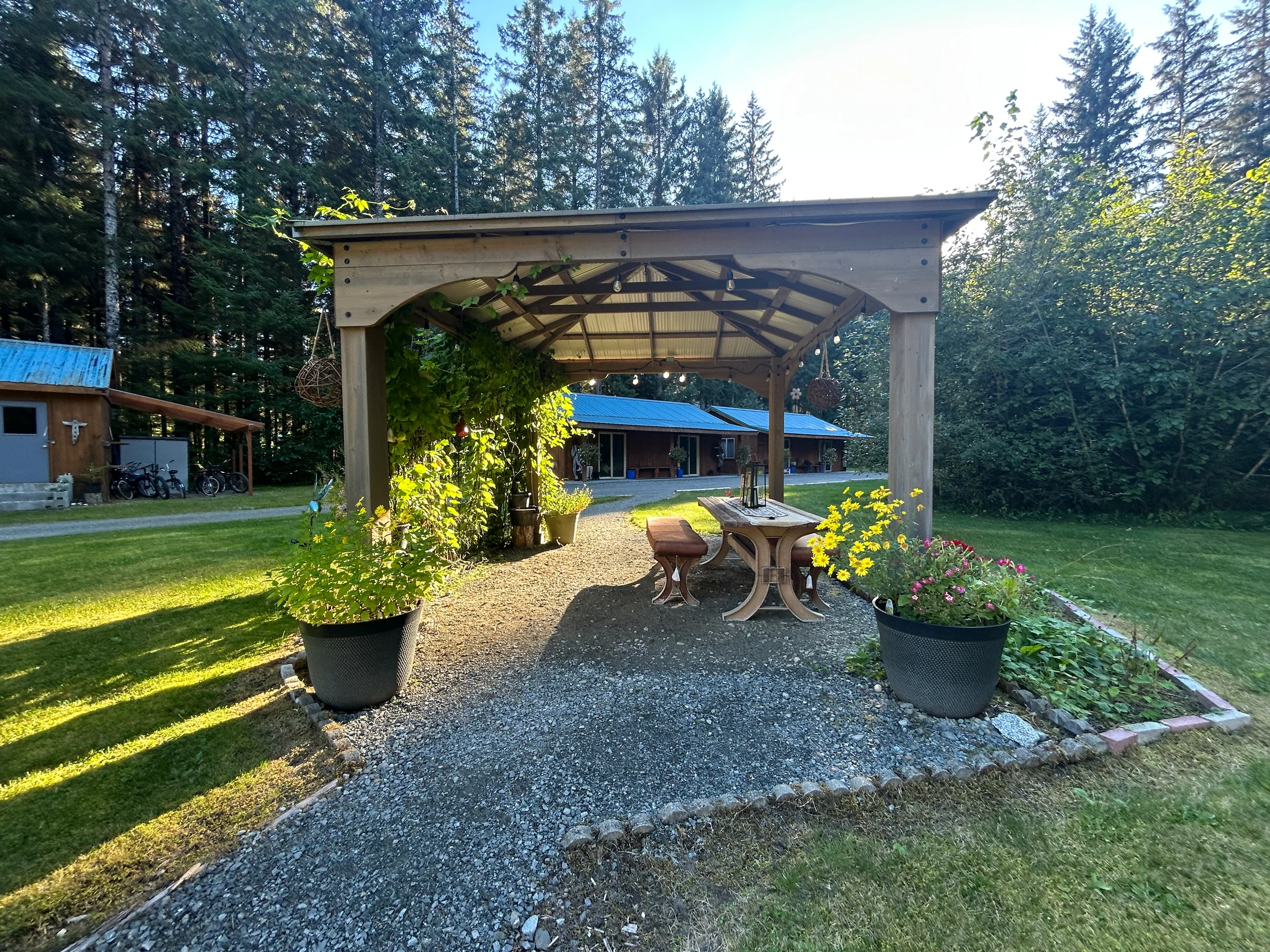 Timber-frame gazebo with string lights and potted flowers on a gravel path leading toward the main lodge building, surrounded by spruce forest.