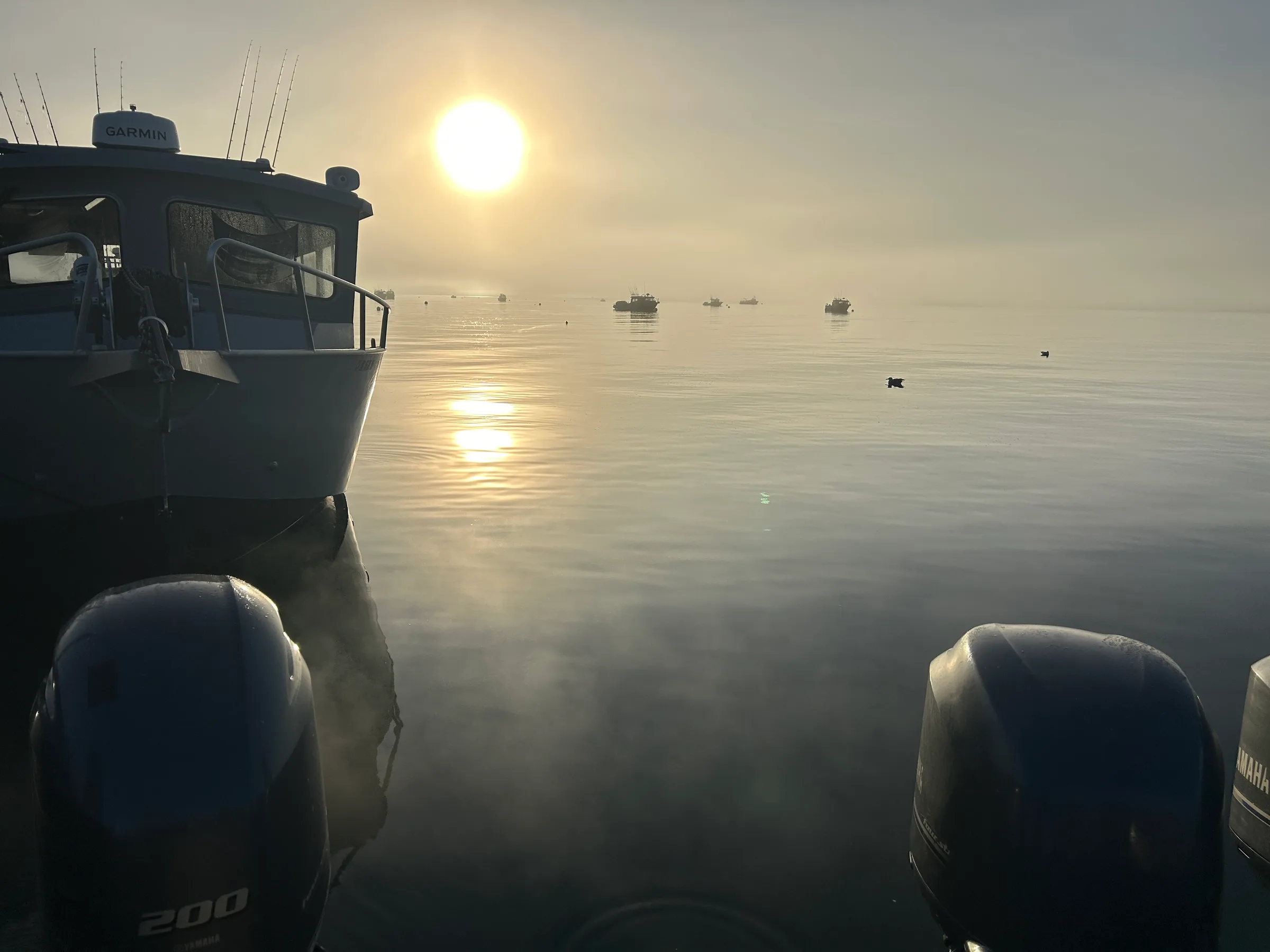 Charter boats at anchor in flat calm water, sun burning through morning mist, fleet silhouetted in distance
