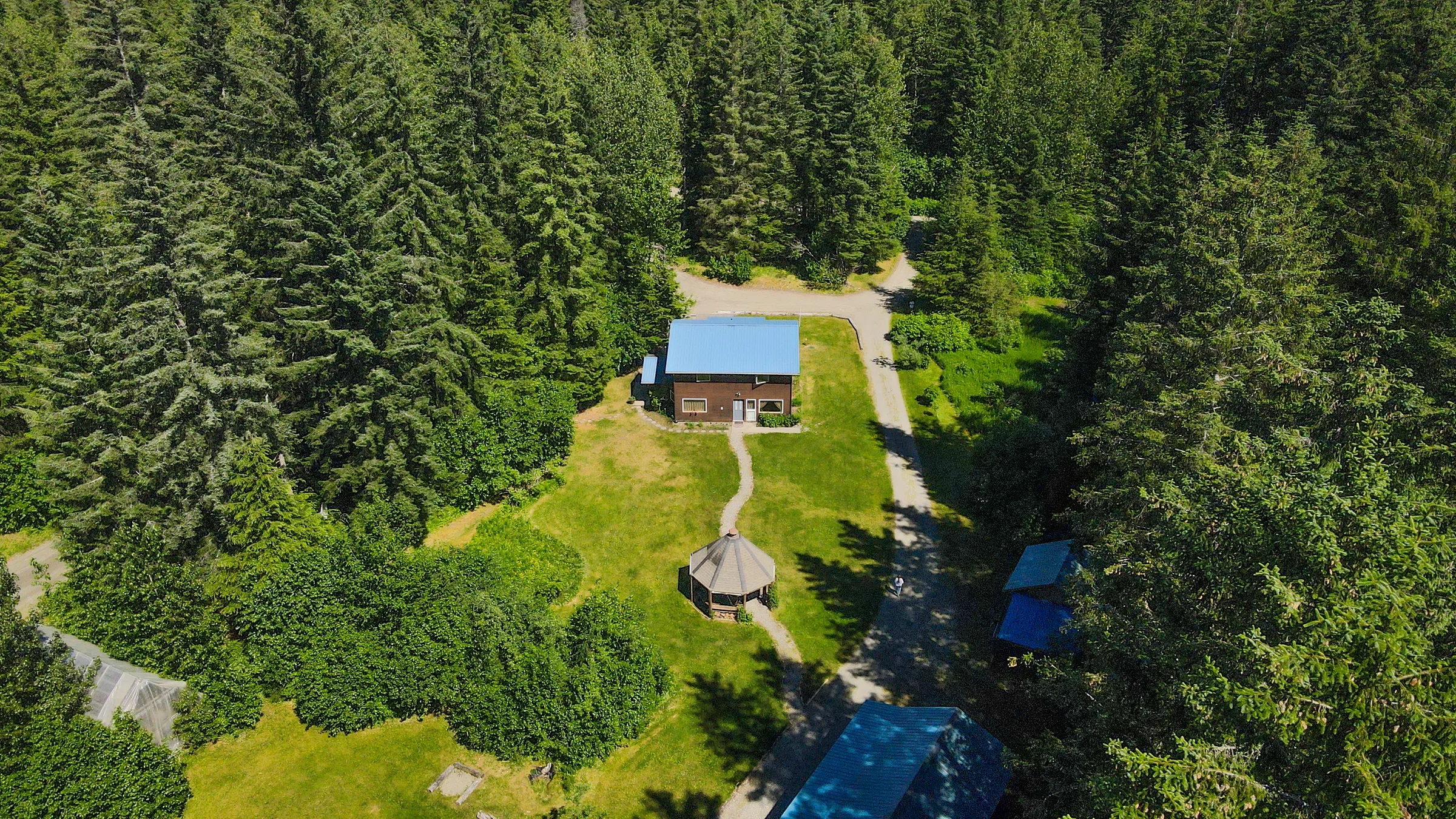 Aerial view of lodge cabin with blue metal roof and yurt structure set in dense Sitka spruce forest, Gustavus Alaska